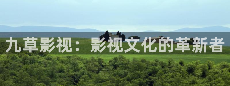 草莓视频成年无限观看：九草影视：影视文化的革新者