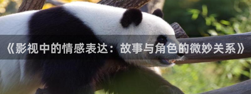 草莓视频大全：《影视中的情感表达：故事与角色的微妙关系》