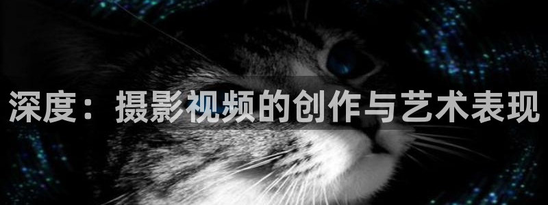 草莓影视大全：深度：摄影视频的创作与艺术表现