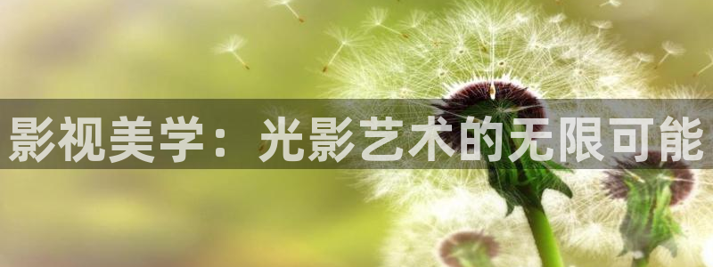 草莓视频大片：影视美学：光影艺术的无限可能
